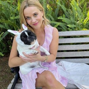 Reese Witherspoon French Bulldog